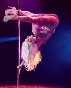 Larkpdx on instagram