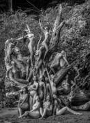 Tree of Nudes (B&W)