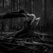 Connections - Gobotoru