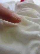 Freshly soaked after play session