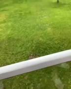 Careful where you aim