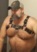 harness