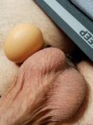 Like two jumbo brown eggs 