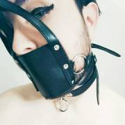 Muzzle gag