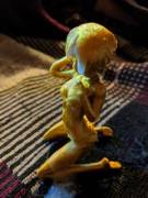 Printed for Pleasure