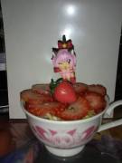 Tokyo mew mew mew ichigo SOF