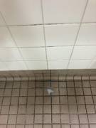 Waited but eventually had to let it out