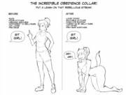 Patented Obedience Collar [F Human → F Humanoid Feral Dog] by KoopaCap
