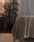 Cambodian / Dominican cutie