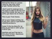 The future is femdom