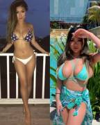 Size Comparison - Bikini Edition