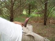 Catch this if you can