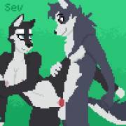 Husky sib [F M ] (Batartcave)