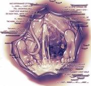 Ever wonder what happens if you feed a succubus to something? [?/F][Lewd][Willing][Internal][Excess Cum]