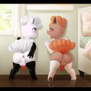 Vulpixes [M] (Manene)