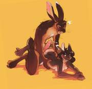 Rabbits fuck a lot [MF]