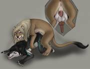 Mutually preggy [HH] (Artha-Amberose)