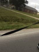 He may have some explaining to do to the neighbors