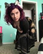 rainbow flavored kitten