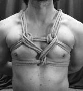 Heart-shaped harness for Valentines Day: An attempt was [m]ade!