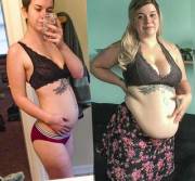 Dreamgainer got big!