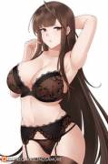 DSR-50 in Lingerie