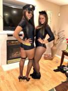 Meow, do you know why I pulled you over?