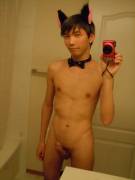 Halloween on a Caturday