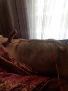 So[M]etimes it's just impossible to get up in the morning