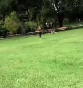 Sports bra is Struggling