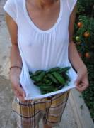 “Look at my pretty peppers”, said my wife. I love her innocence.