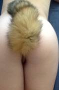 Do You Like my (F)urry Tail?? ;)