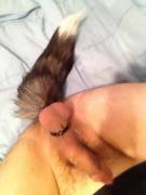 [M]ale foxes never get upvote love