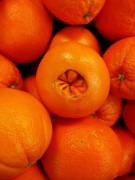 Saw this orange and thought of you guys.