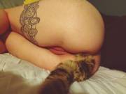 Starting a tail collection :3