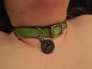 My greeeeen collar. =^_^=
