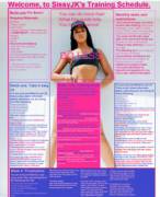 SissyJK's training guide.