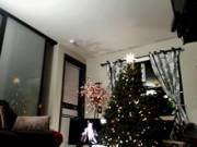 Christmastime (x-post /HappyEmbarrassedGirls)