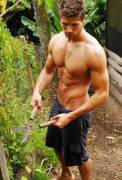 Want a gardener?