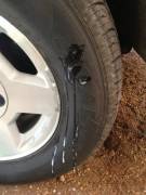 [Proof] cum on a car, TRUCK, or motorcycle tire