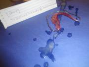 [Proof] Cum on teeth retainer