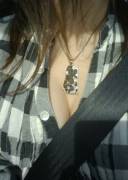 plaid &amp; pallasite meteorite