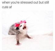 This week I've been in charge of my department at work while my boss is out of town. This is me! Lol