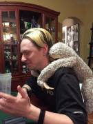 Daddy's friends are surprisingly tolerant of my stufties' shenanigans during their poker games.