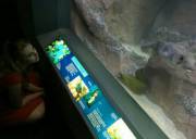 When a little finds a fish they like ♥