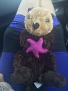 Daddy went to the aquarium this weekend, while I was busy being a bridesmaid, and got me an otter!!! I named him Praline