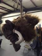 Here is Kimchi in her first full suspension!! She even got tusk rope! She's such a strong bottom