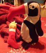 Daddy and I made stockings for our stuffies, Foxxi & Mr. Penguin. I think they like them :3