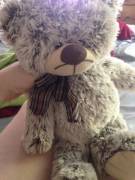 This is Gus! He's a grumpy old bear