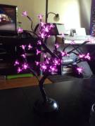 Found the cutest nightlight at big lots!